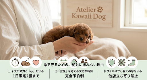 私たちが「完全予約制」と「見学ルール」を厳しくしている本当の理由